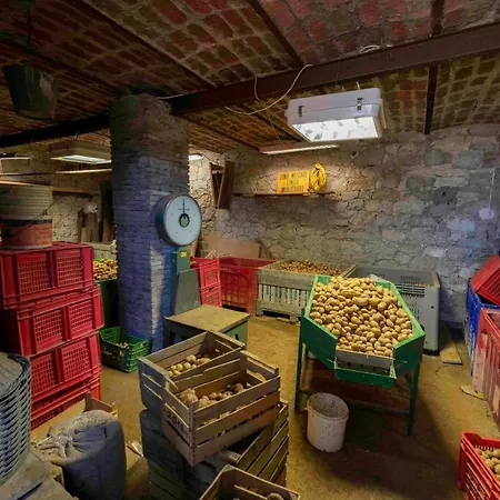 アパート Podere Pratizzoli Tolè