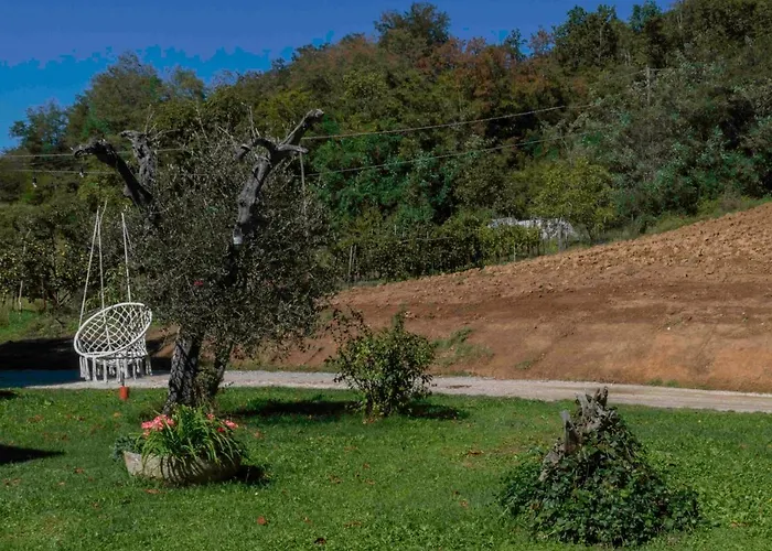 Podere Pratizzoli 托莱